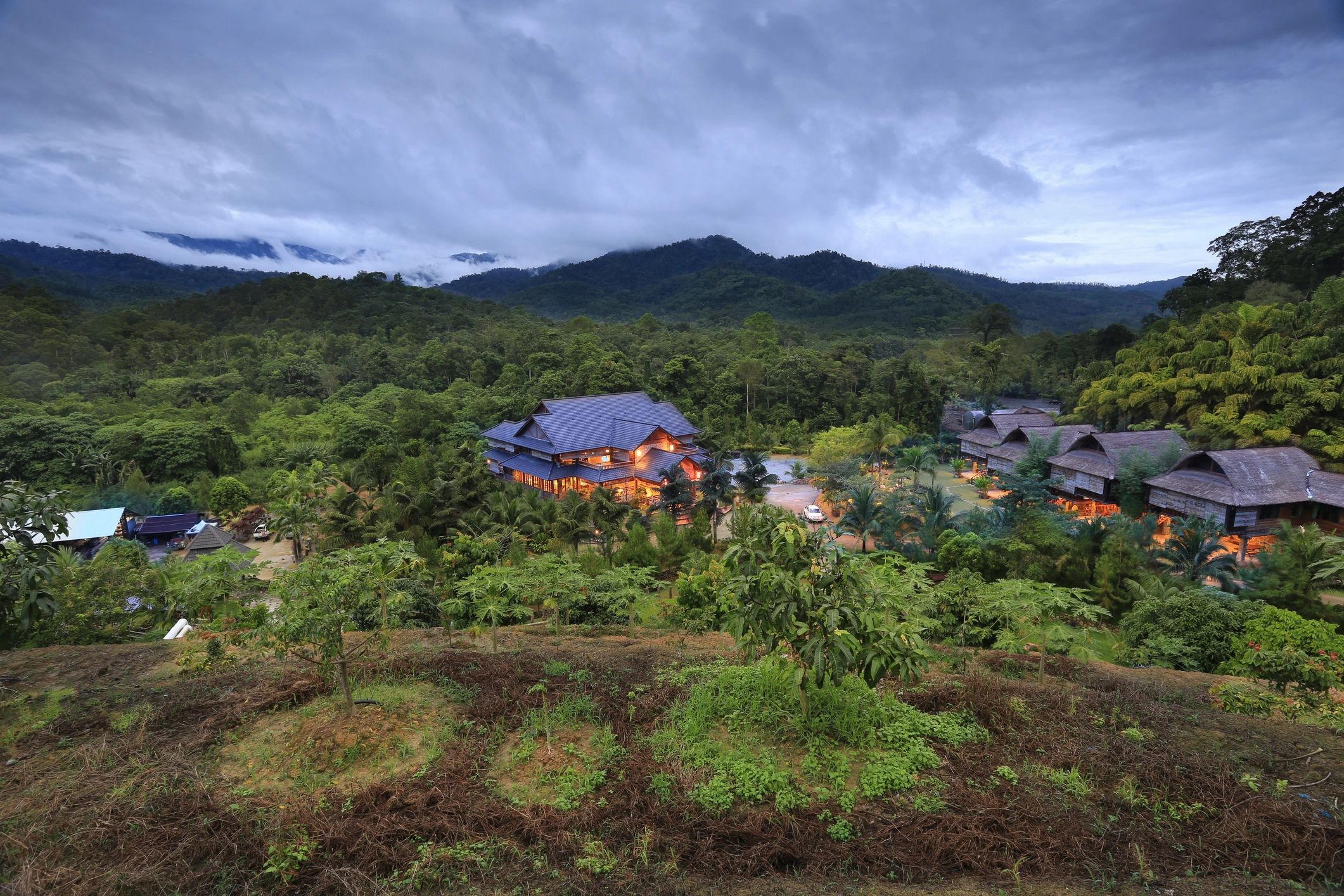 Green landscape near a Malaysian village